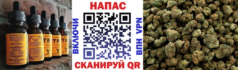 Cannafood марихуана  мориарти клад  Вологда 