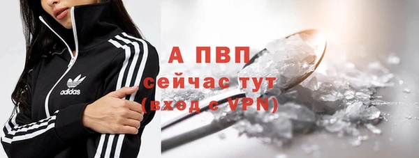 стаф Абдулино