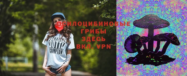 стаф Абдулино