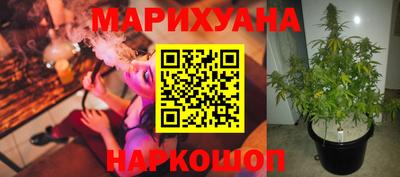 тгк Краснодар
