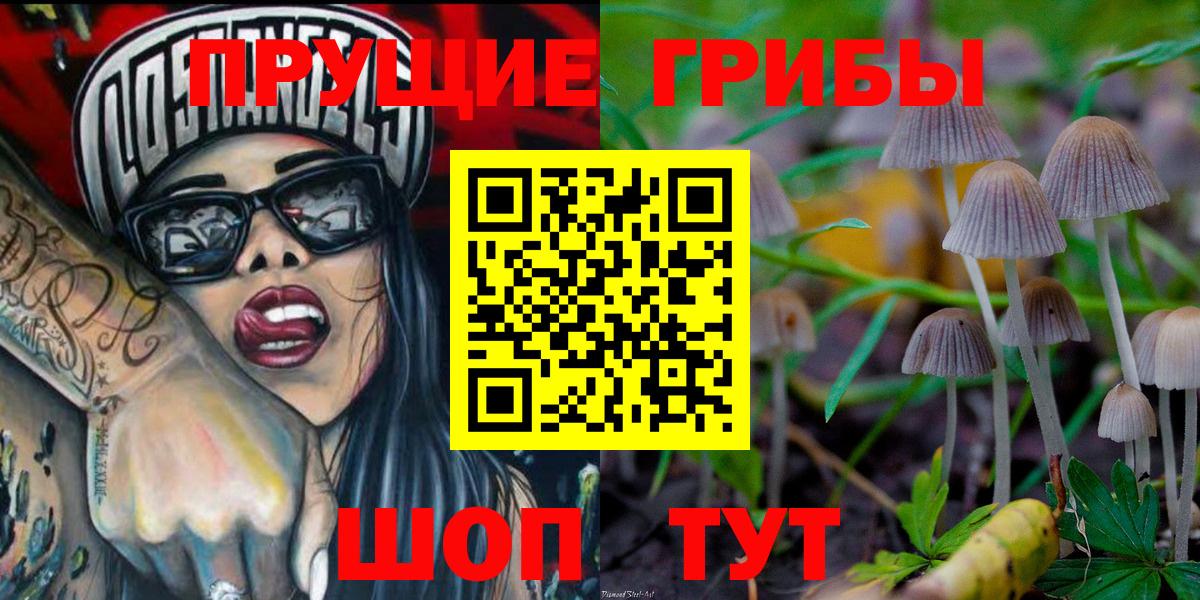 Псилоцибиновые грибы прущие грибы Вологда