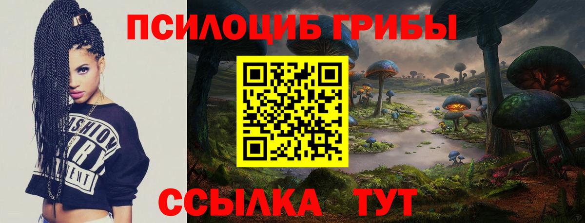 где можно купить   Вход с VPN  Вологда  Псилоцибиновые грибы мухоморы 