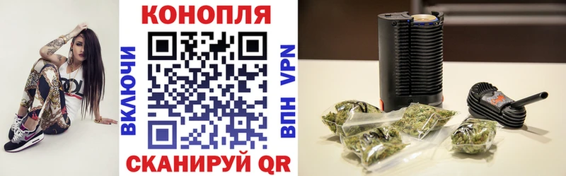 продажа наркотиков  Вологда  Конопля гибрид 